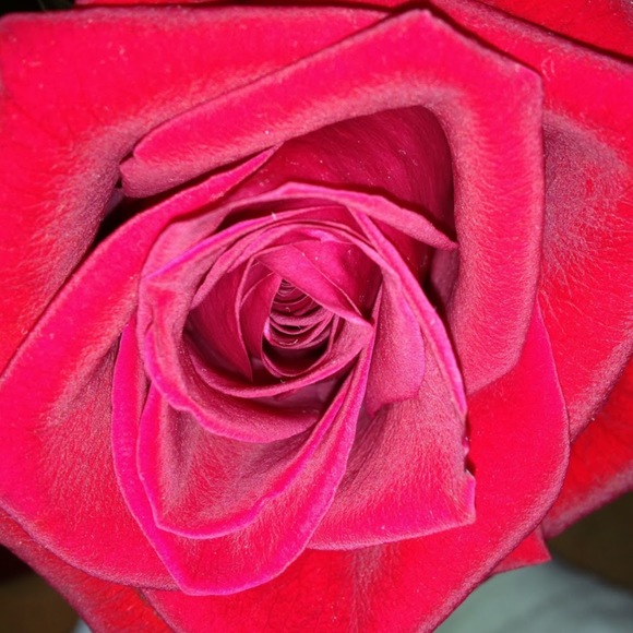 Meet your Posher, Kimmie - Picture 2 of 2